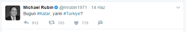 Rubin Türkiye'yi Yine Hedefine Aldı