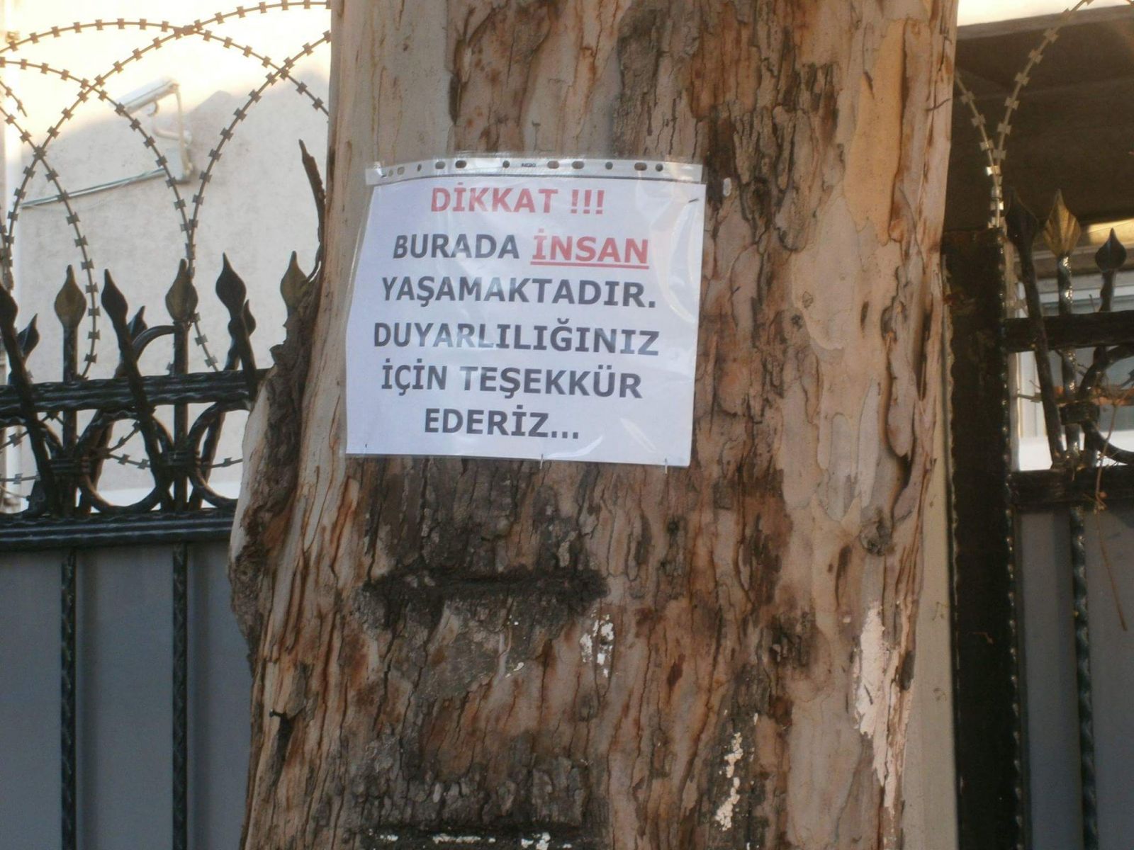 Medeniyet Şehri İzmir'in Göbeğinde Şok Görüntü!