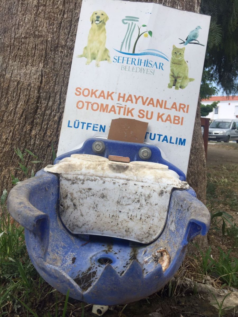 Seferihisar'da Can Dostlarımıza Bunu Layık Gördüler!