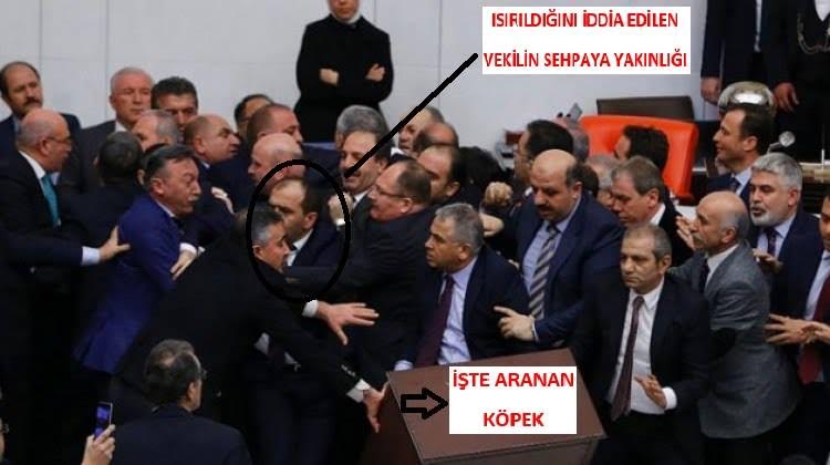 CHP'li Bayır, Ak Partili Vekili "Isıran"ı Buldu