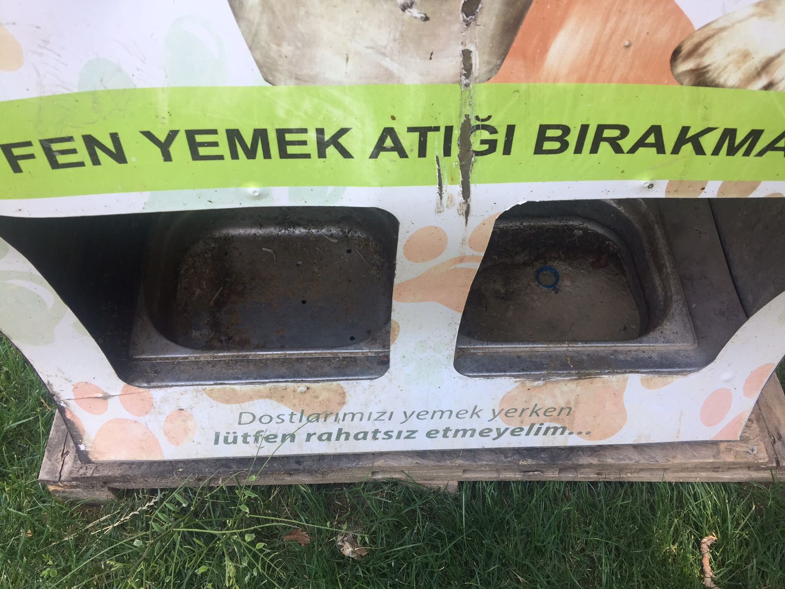 Seferihisar'da Can Dostlarımıza Bunu Layık Gördüler!