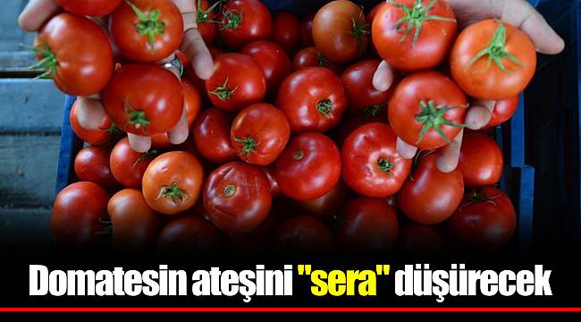 Eylül ayının zam şampiyonu domates Eylül ayının zam şampiyonu domates