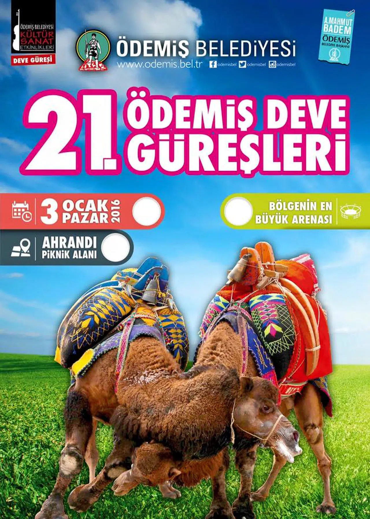 ÖDEMİŞ'TE 21. DEVE GÜREŞLERİ