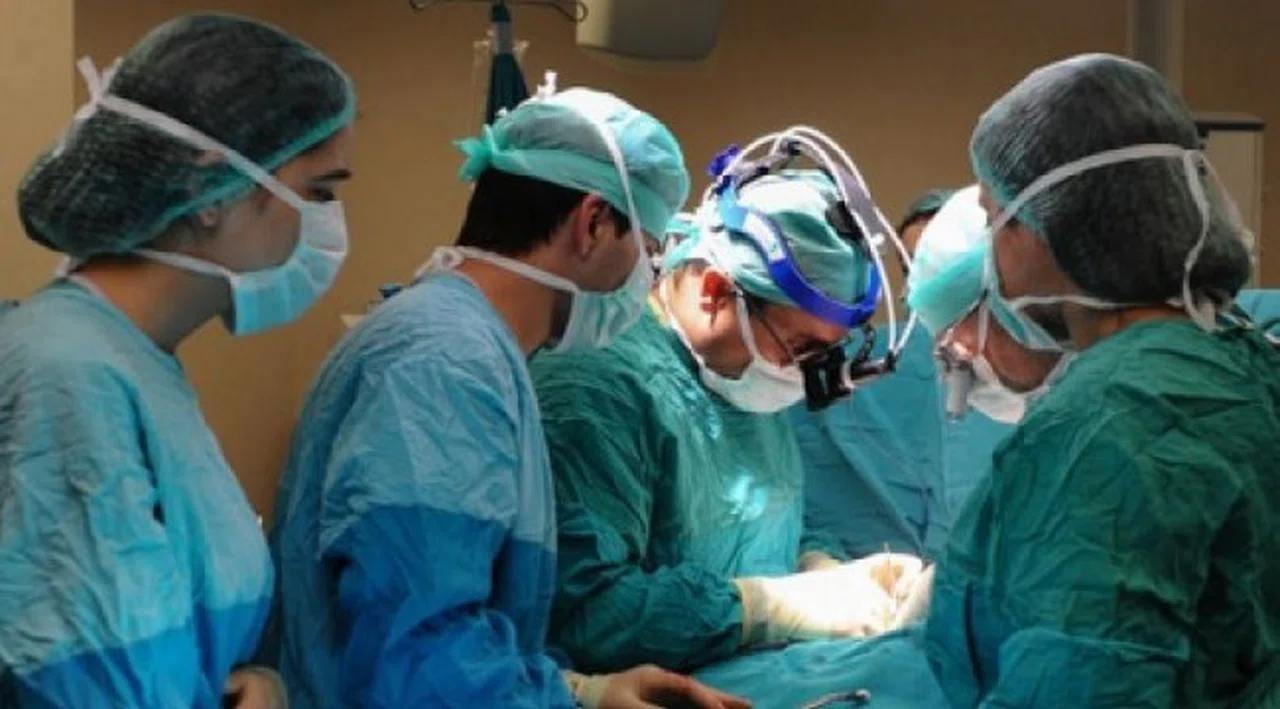 Aksini belirtmeyen herkes tüm organlarını vermiş sayılacak