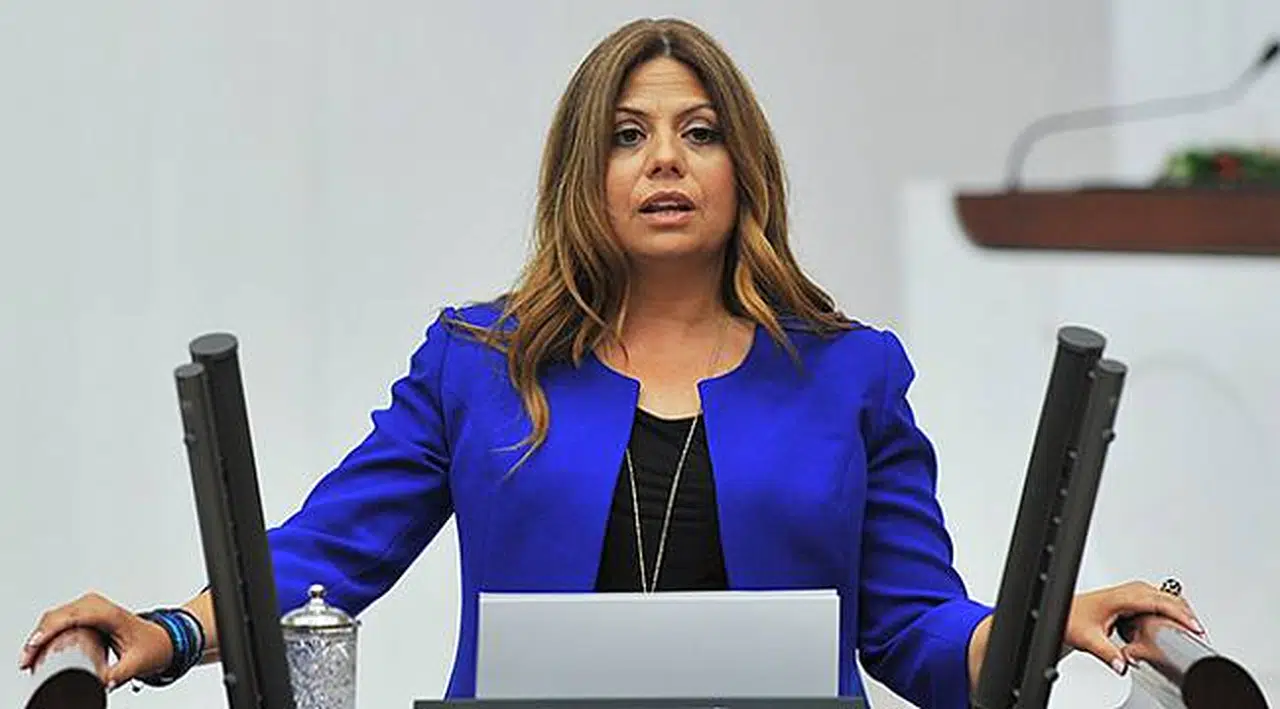 CHP'li Altıok EĞİTİM-SEN'lilere Yönelik Uygulamaları Meclis Gündemine Taşıdı