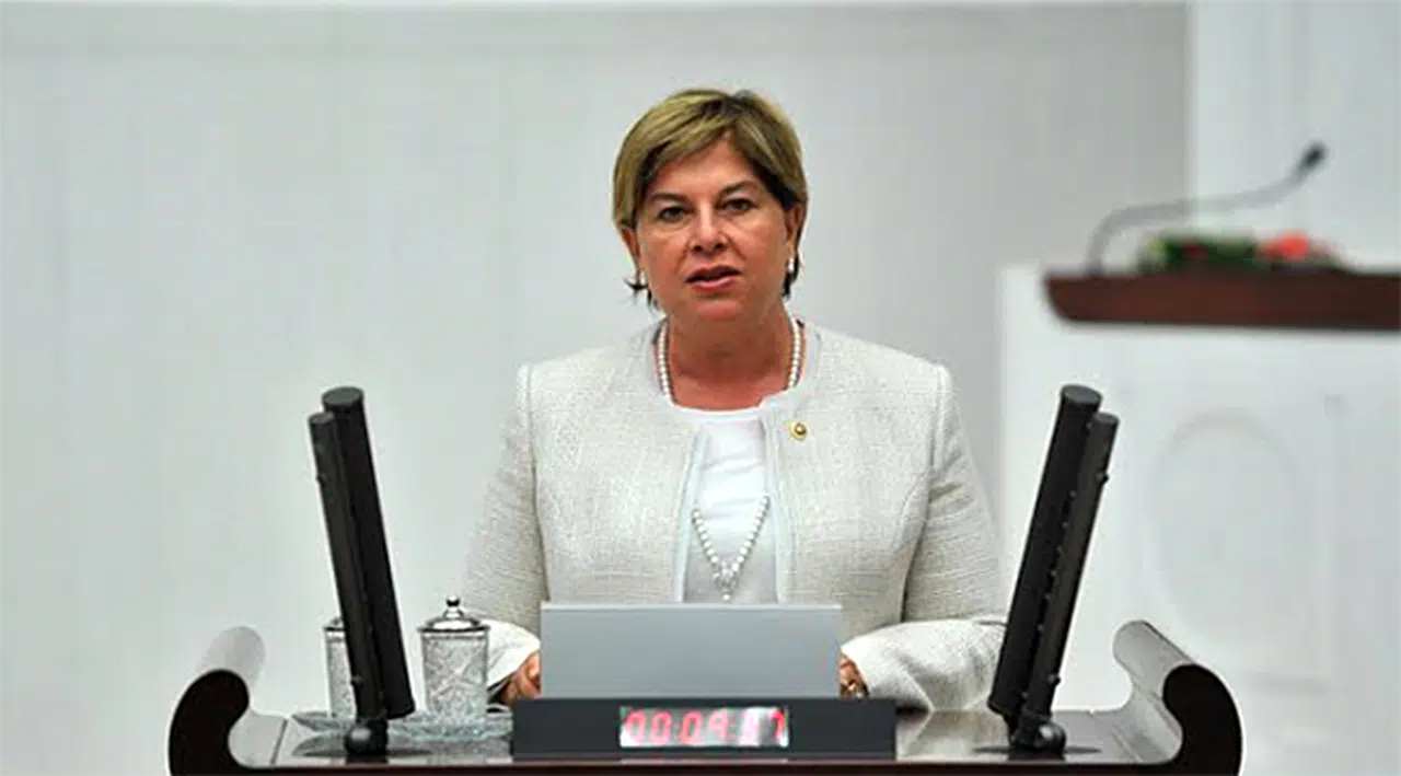 CHP'li Elif Doğan Türkmen Divandaki Görevini Bıraktı