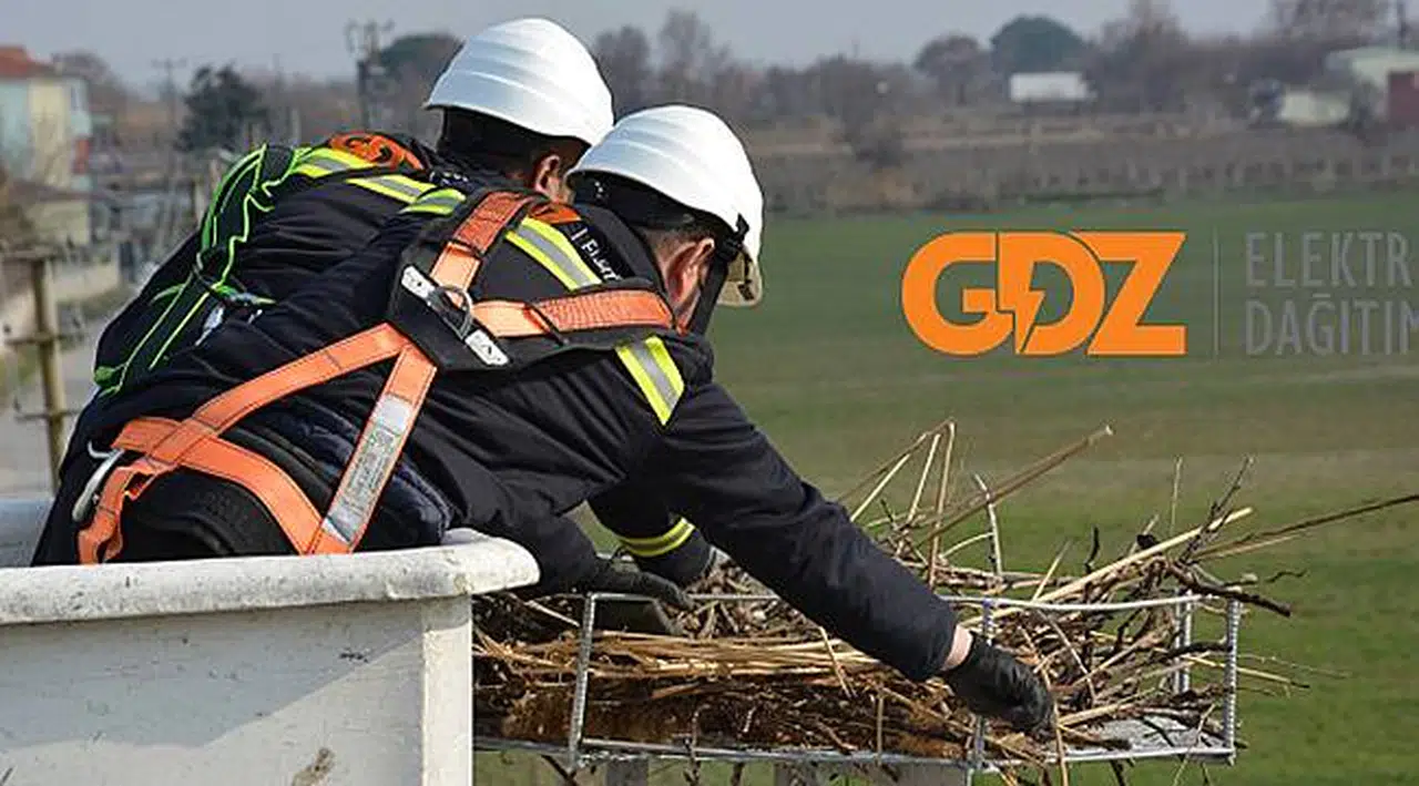GDZ Elektrik Dağıtım’dan Leyleklere 120'nci Yuva