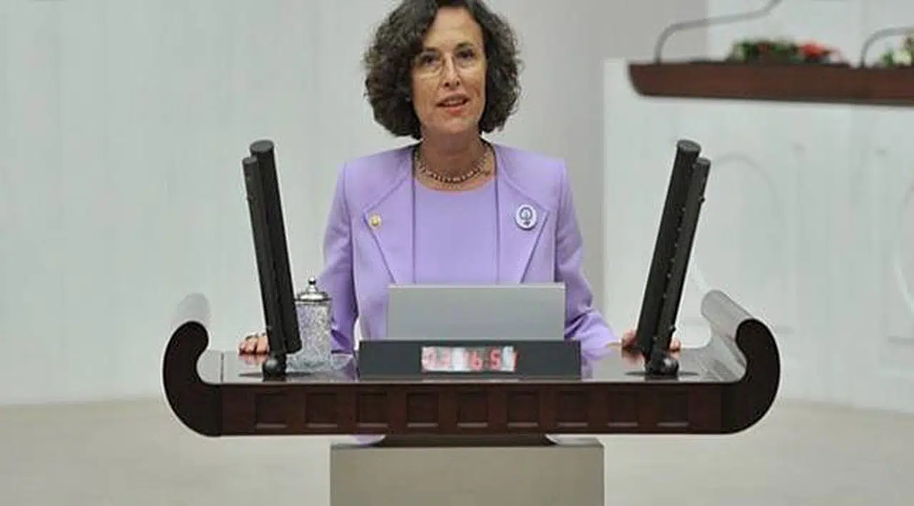 HDP'li Kerestecioğlu: Niye 'Daimî Çocuk Hakları Komisyonu' Kuramıyoruz