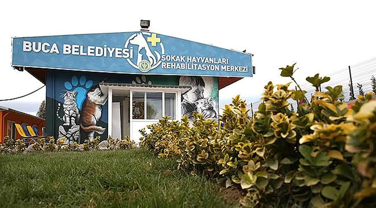 Buca’da Can Dostlarına Hizmette Sınır Yok