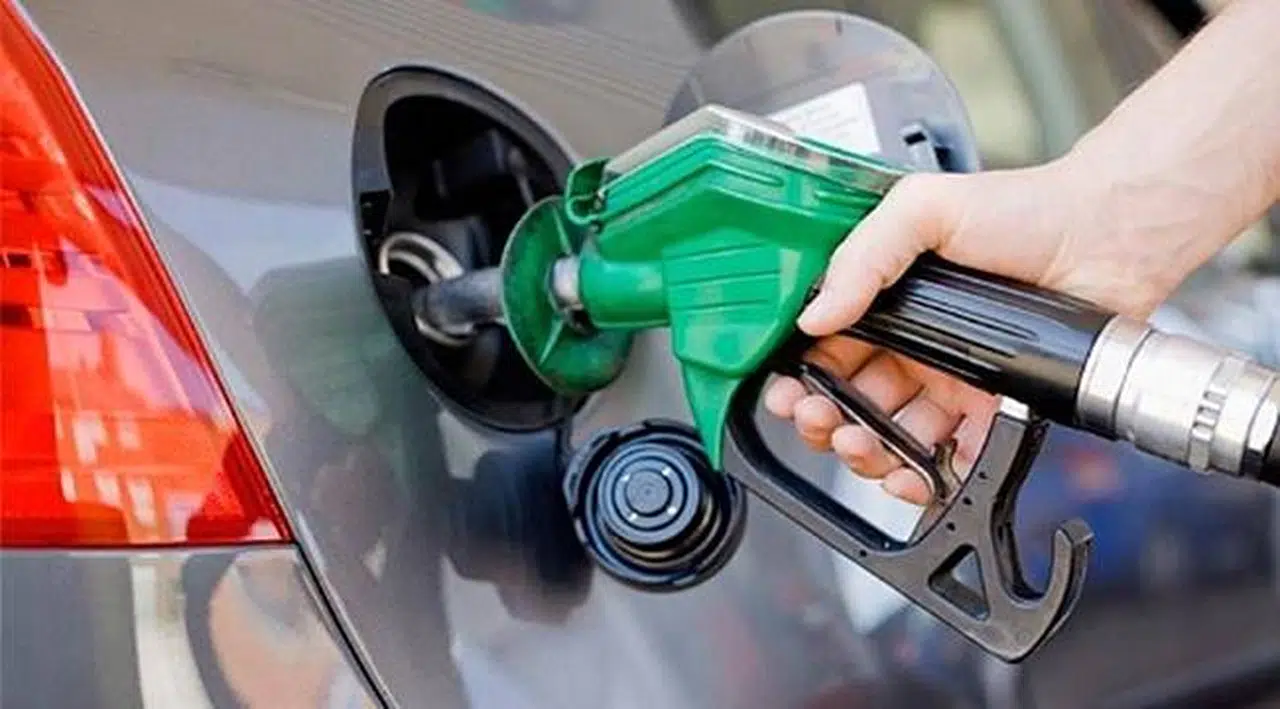 Benzine Zam Geliyor