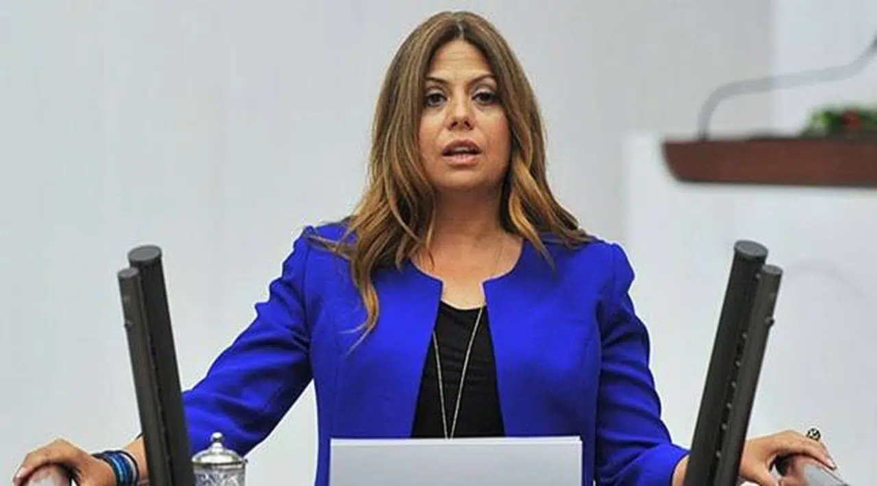 CHP'li Altıok: Türkiye Bunu Hak Etmiyor