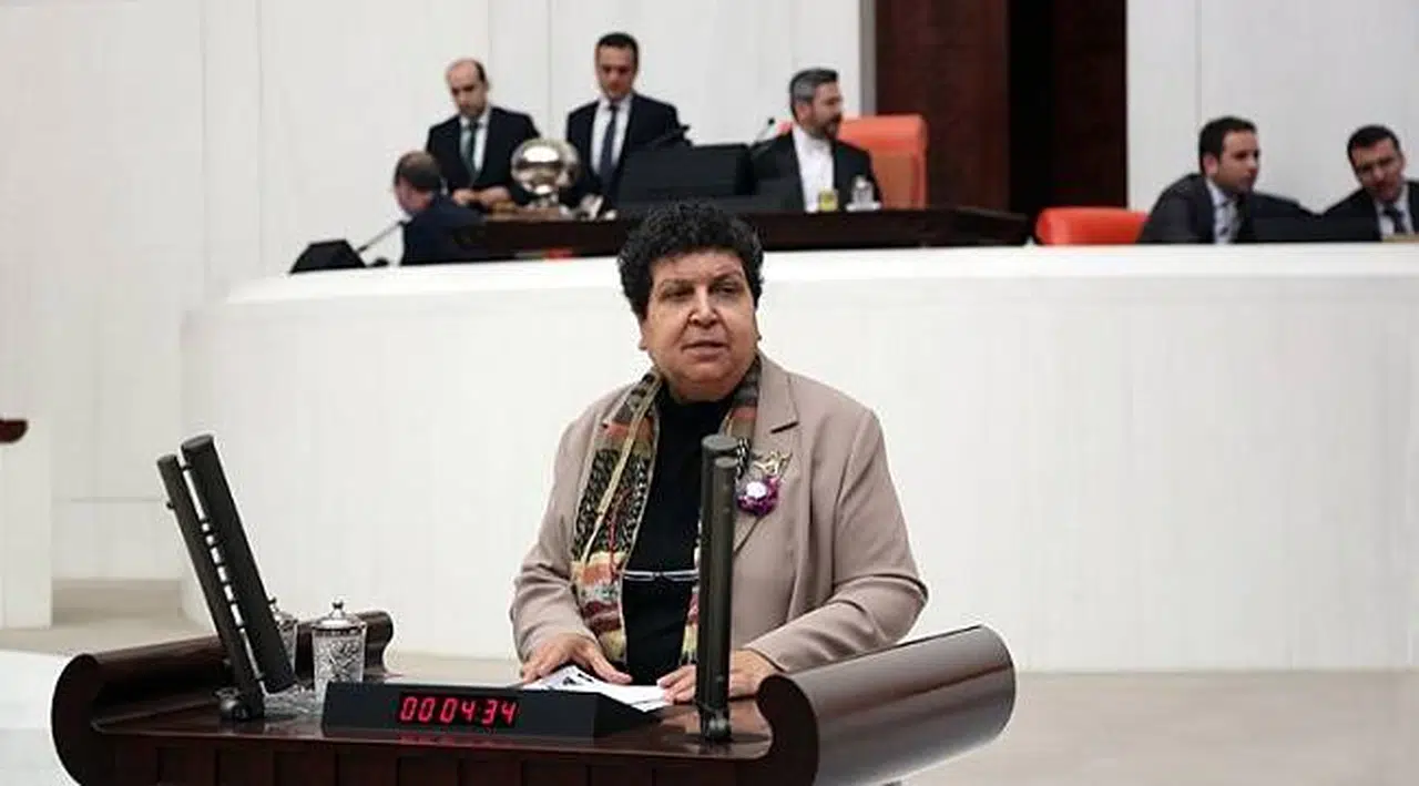 Şenal Sarıhan: "OHAL Komisyonlarına Gerek Kalmadı mı?"