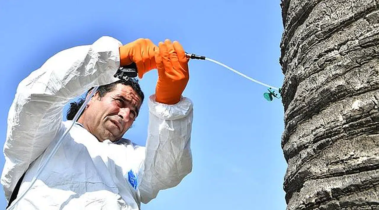 Büyükşehir, İzmir’in Simgelerini Bilimsel Korumaya Aldı