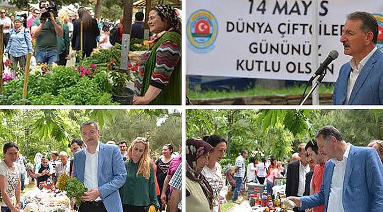 Tire Ot Festivali Coşkuyla Kutlandı