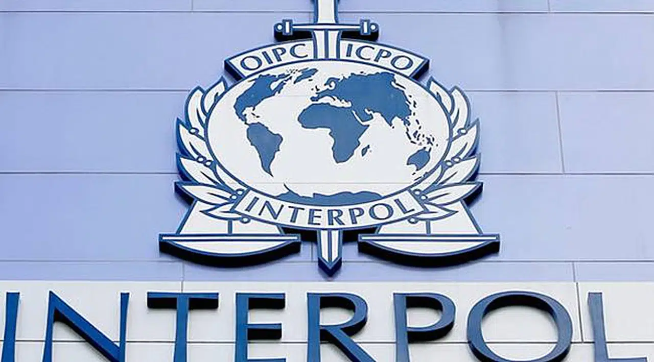 Interpol, Türkiye'nin Veri Girişini Askıya Aldı!