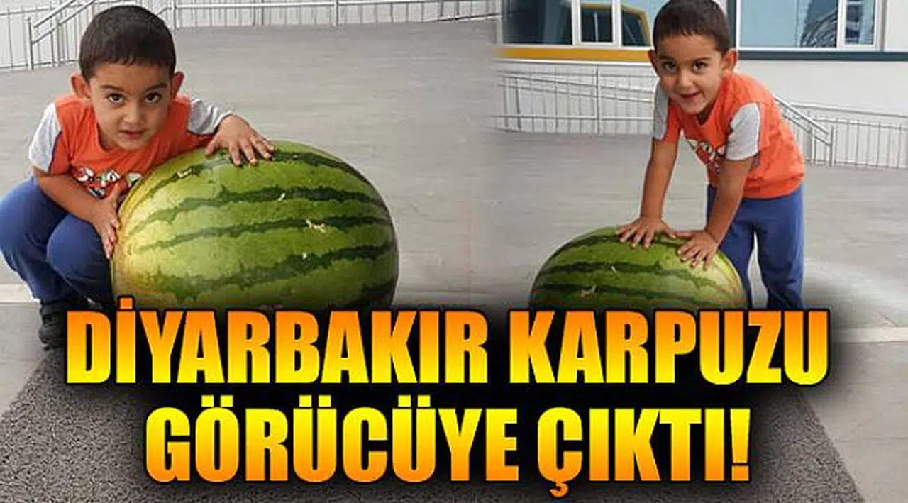 Diyarbakır Karpuzu Görücüye Çıktı!