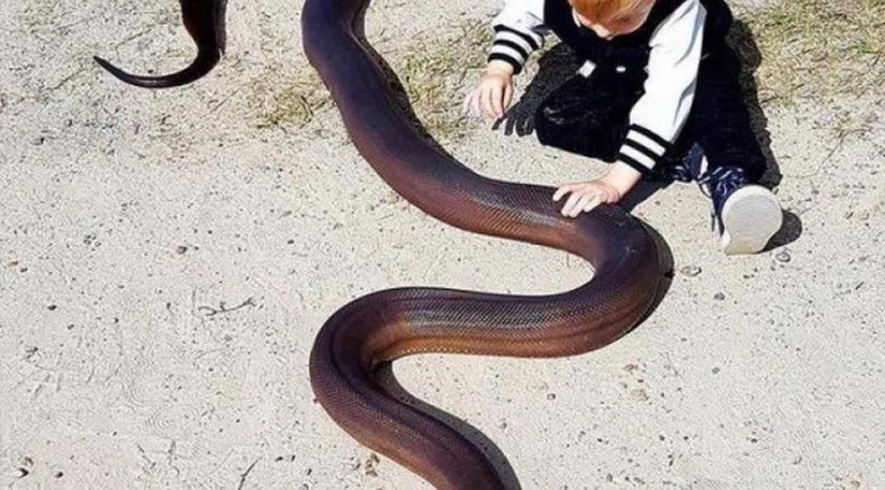 Korkutan Açıklama! Panzehir Kalmadı
