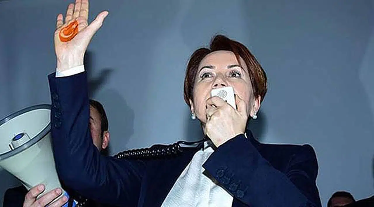 Meral Akşener'in Kuracağı Partinin logosu Belli Oldu