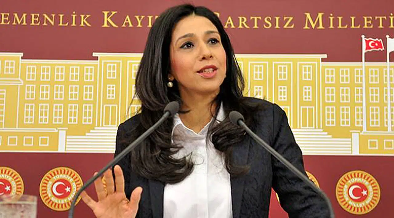 CHP'li Yedekci: Hava Kirliliği Trafik Kazalarından Daha Çok Can Alıyor