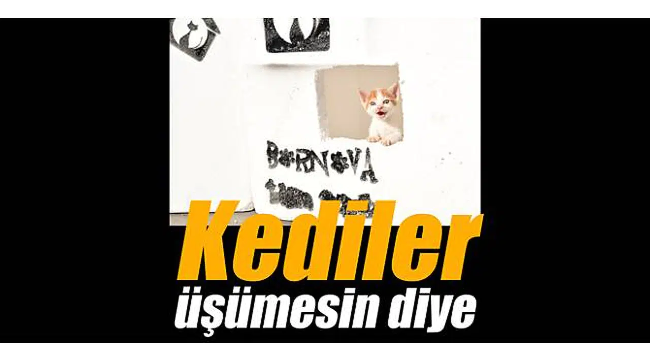 Kediler üşümesin diye