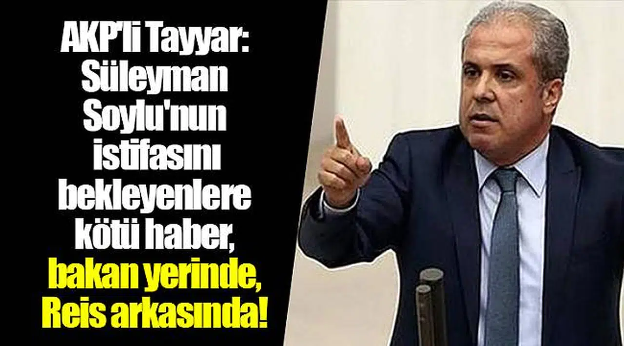 AKP'li Tayyar: Süleyman Soylu'nun istifasını bekleyenlere kötü haber, bakan yerinde, Reis arkasında!