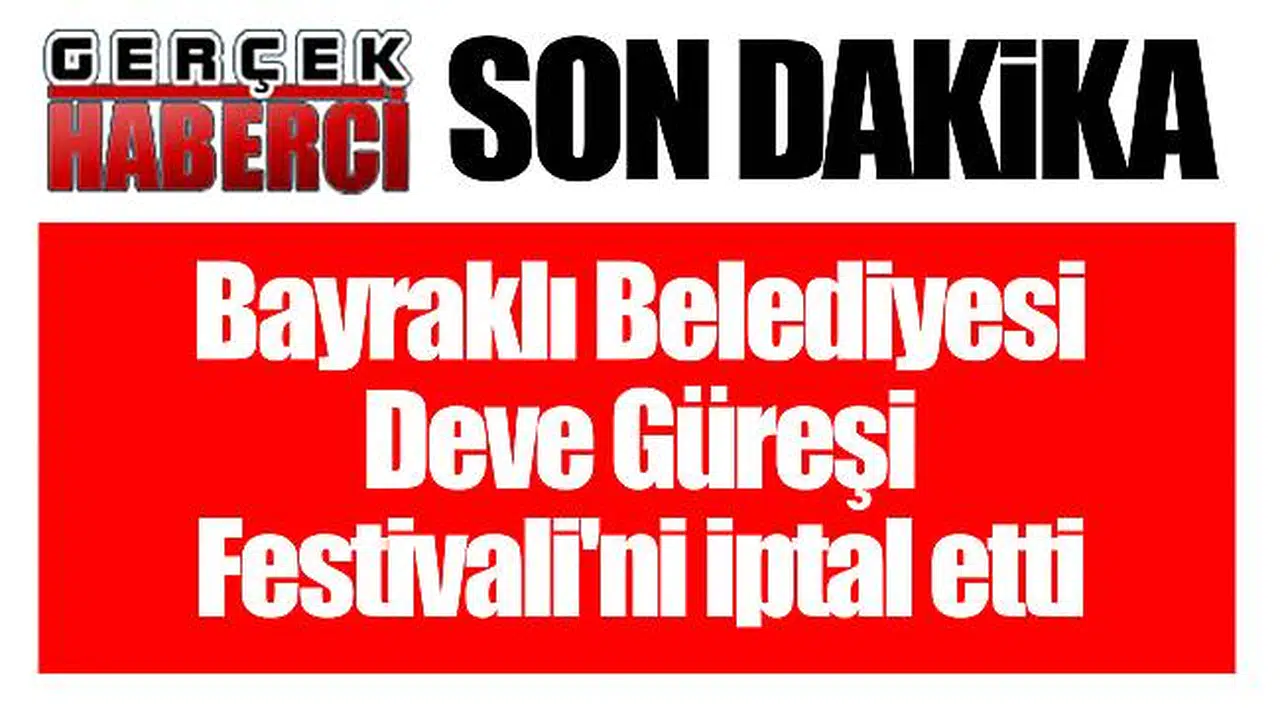 Bayraklı Belediyesi Deve Güreşi Festivali'ni iptal etti
