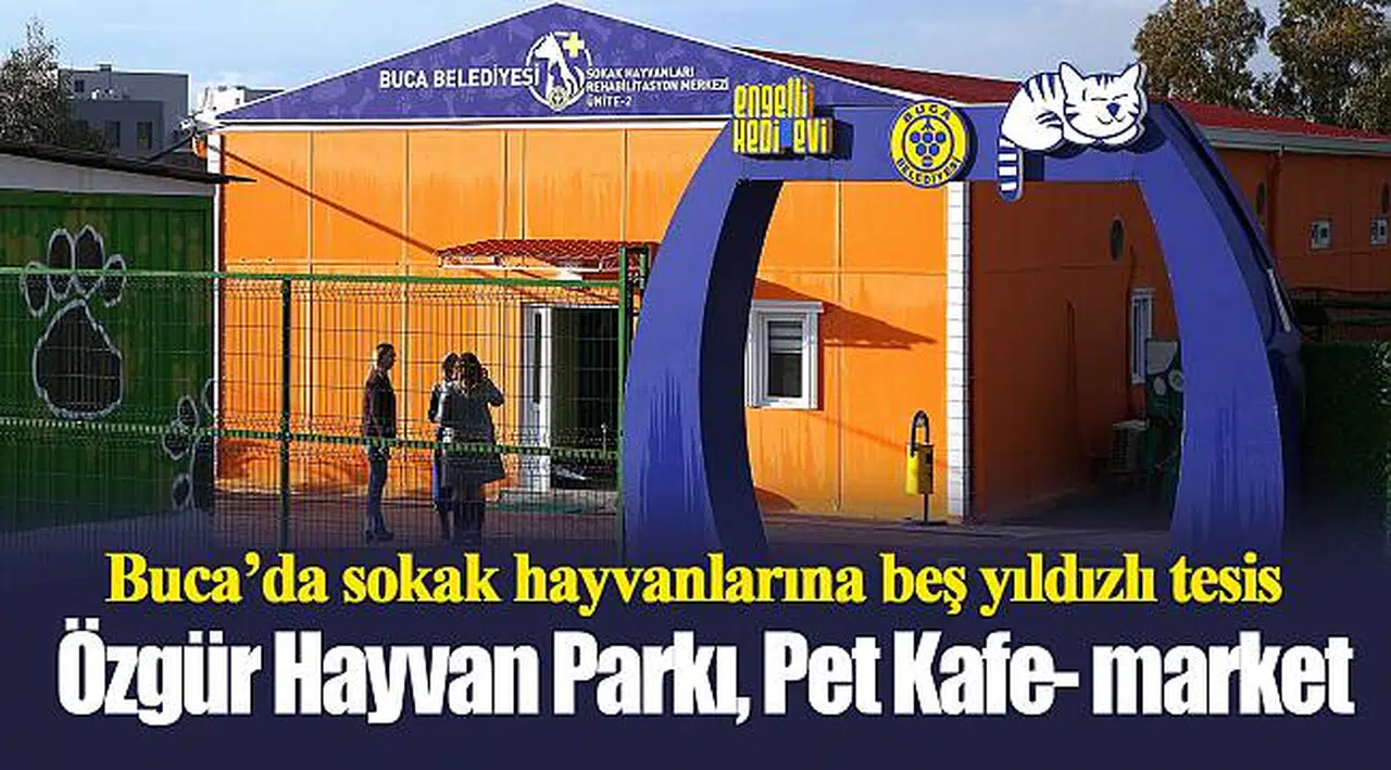 Buca’da sokak hayvanlarına beş yıldızlı tesis