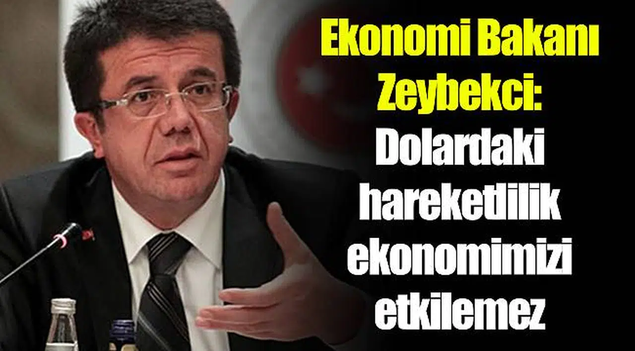 Ekonomi Bakanı Zeybekci: Dolardaki hareketlilik ekonomimizi etkilemez