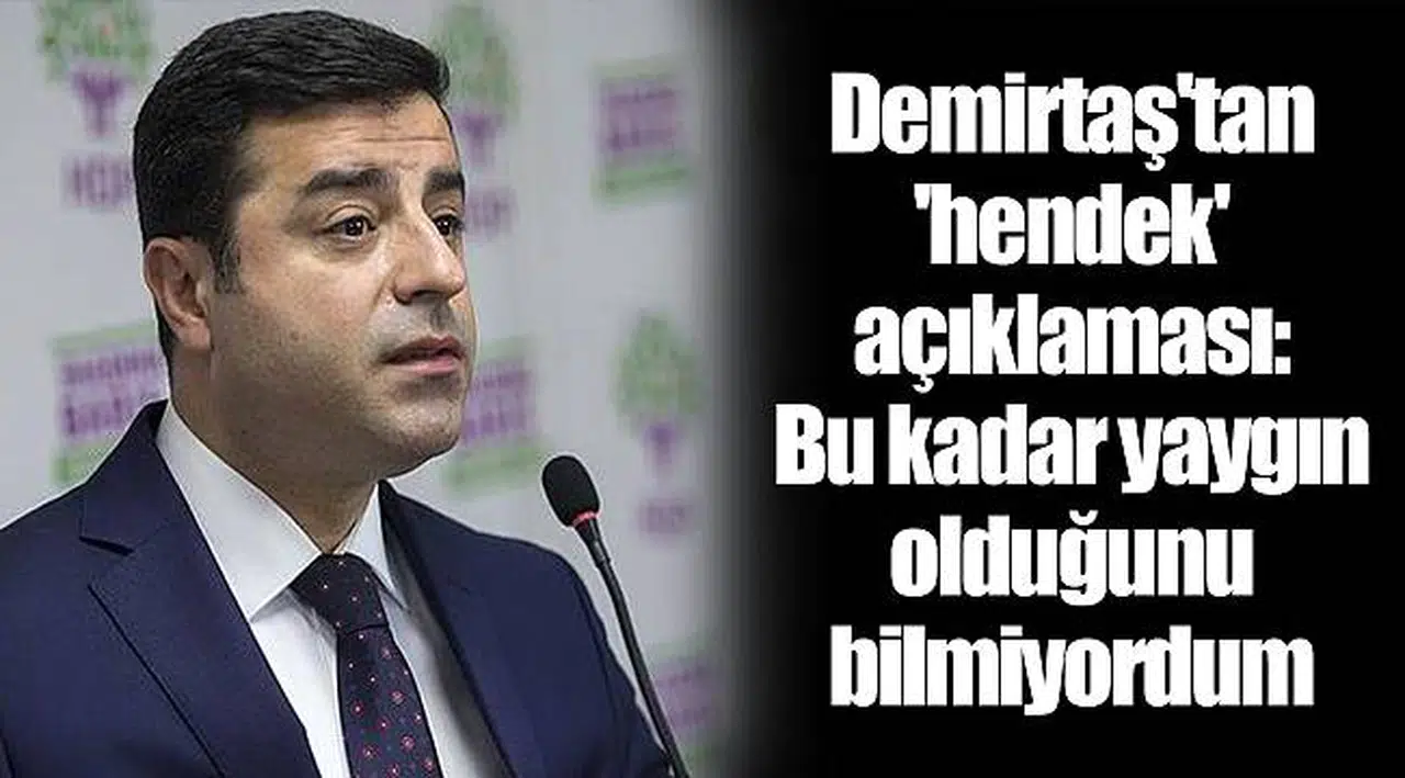 Demirtaş'tan 'hendek' açıklaması: Bu kadar yaygın olduğunu bilmiyordum