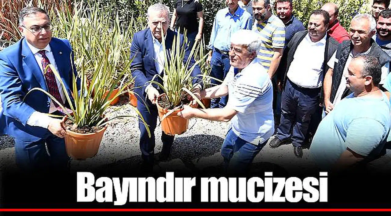 Bayındır mucizesi