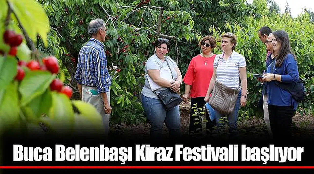 Buca Belenbaşı Kiraz Festivali başlıyor