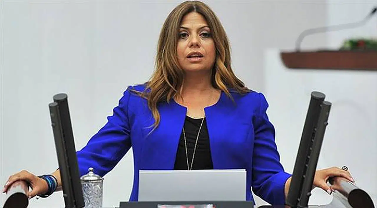 CHP'li Altıok'tan kitabını sansürleyen D&R'a tepki