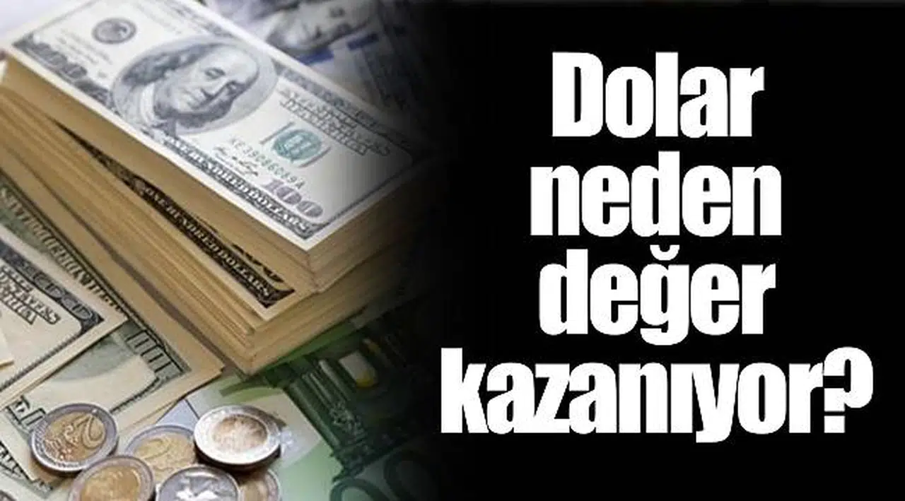 Dolar neden değer kazanıyor?