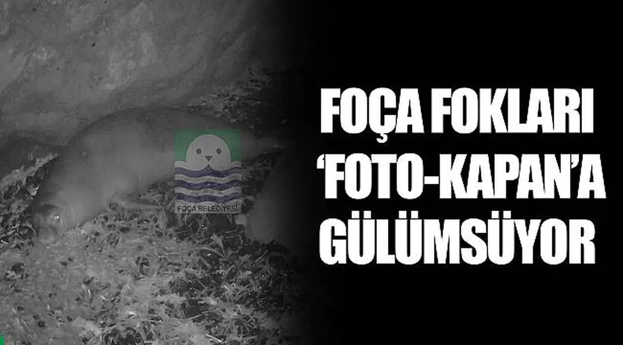 FOÇA FOKLARI ‘FOTO-KAPAN’A GÜLÜMSÜYOR