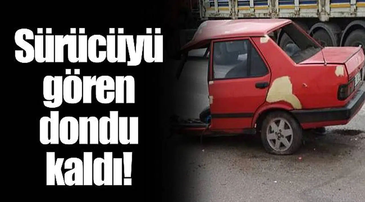 Sürücüyü gören dondu kaldı!