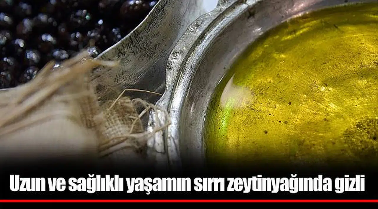  Uzun ve sağlıklı yaşamın sırrı zeytinyağında gizli 
