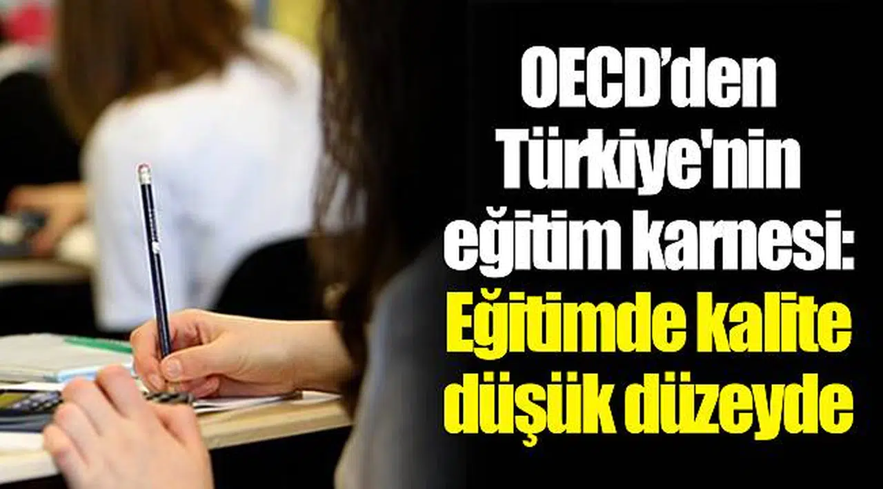 OECD’den Türkiye'nin eğitim karnesi: Eğitimde kalite düşük düzeyde