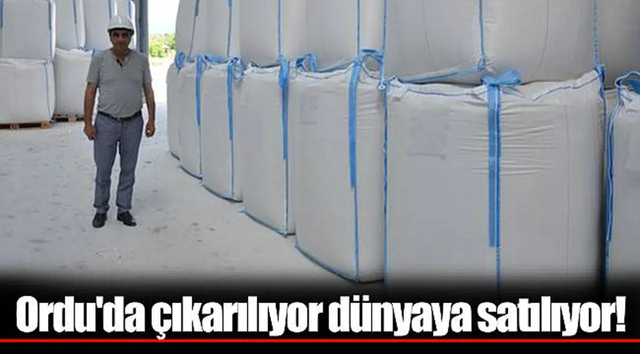 Ordu'da çıkarılıyor dünyaya satılıyor!