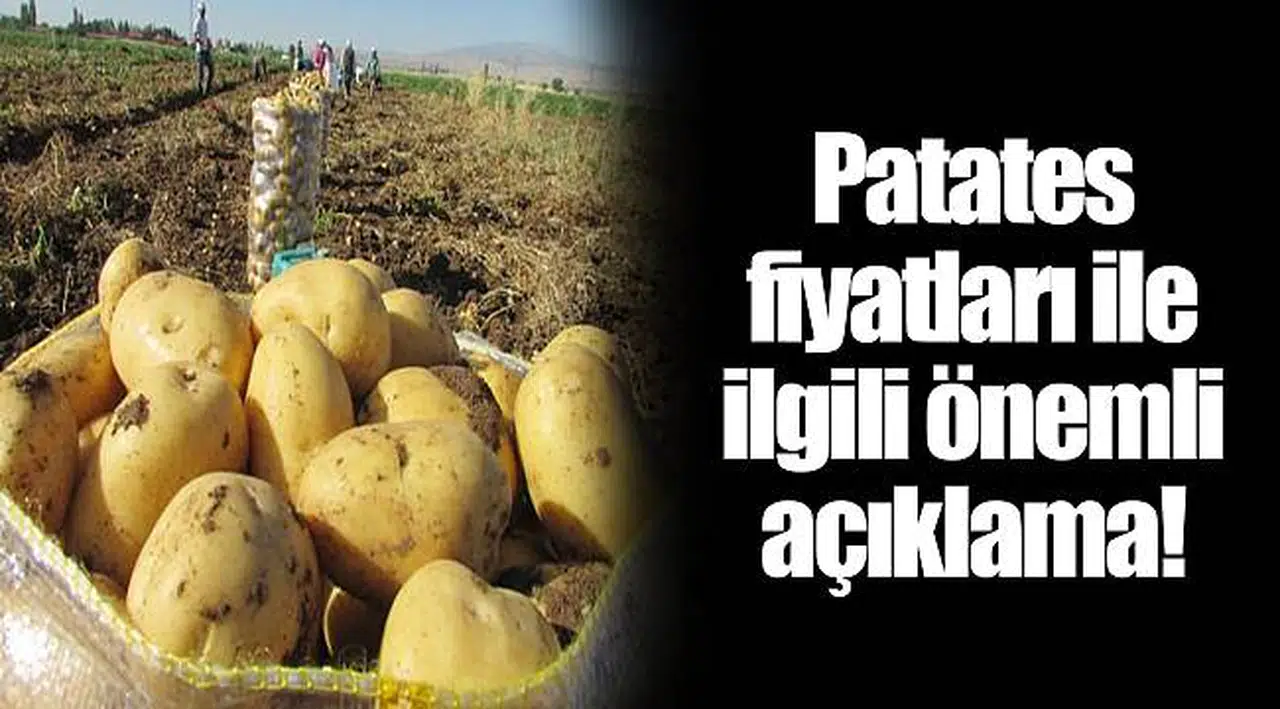 Patates fiyatları ile ilgili önemli açıklama!