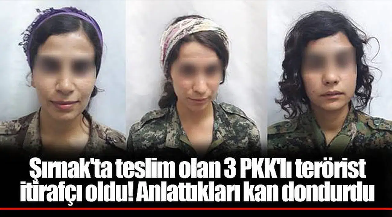 Şırnak'ta teslim olan 3 PKK'lı terörist itirafçı oldu! Anlattıkları kan dondurdu