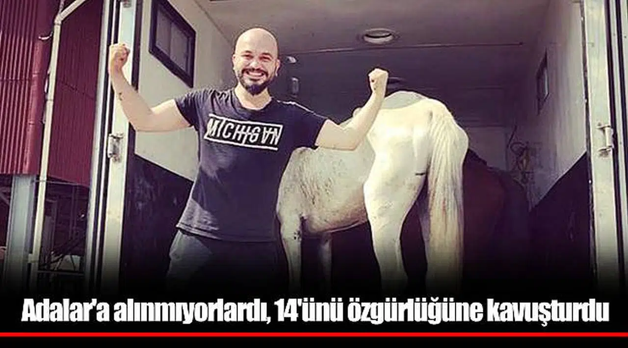 Adalar'a alınmıyorlardı, 14'ünü özgürlüğüne kavuşturdu