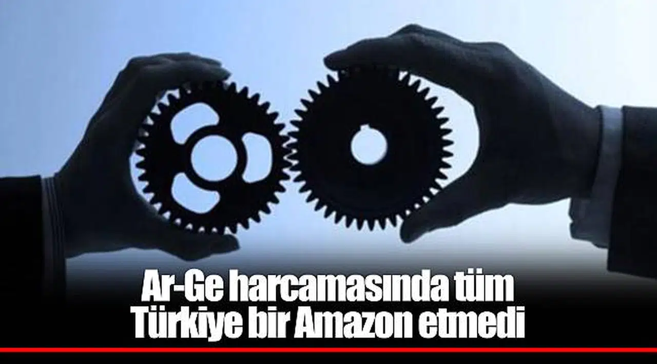 Ar-Ge harcamasında tüm Türkiye bir Amazon etmedi