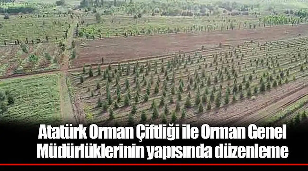 Atatürk Orman Çiftliği ile Orman Genel Müdürlüklerinin yapısında düzenleme