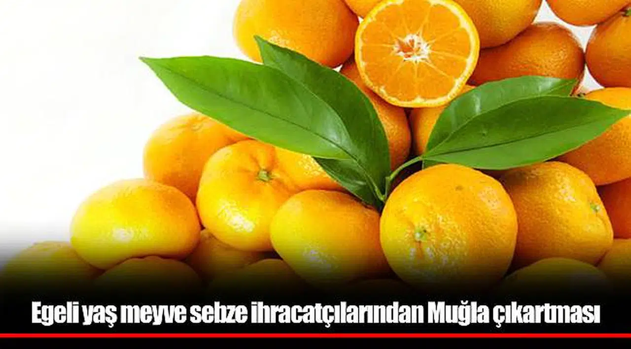Egeli yaş meyve sebze ihracatçılarından Muğla çıkartması