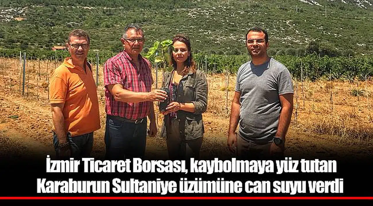 İzmir Ticaret Borsası, kaybolmaya yüz tutan Karaburun Sultaniye üzümüne can suyu verdi 