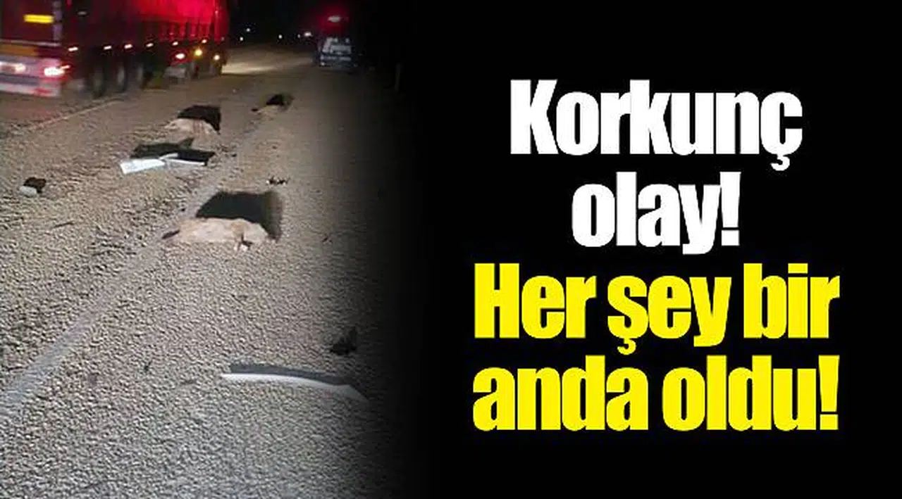 Korkunç olay! Her şey bir anda oldu!