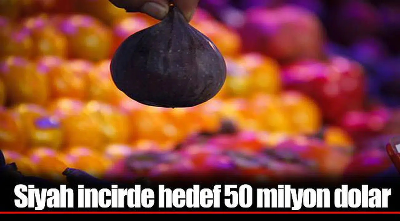 Siyah incirde hedef 50 milyon dolar