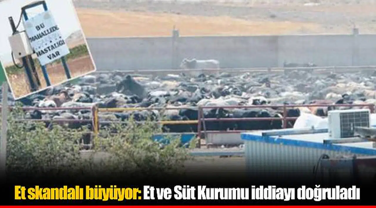 Et skandalı büyüyor: Et ve Süt Kurumu iddiayı doğruladı