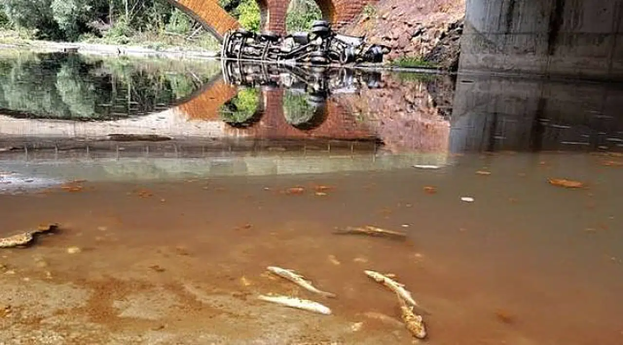 Kaza sonrası korkunç görüntü! Tankerden suya karıştı