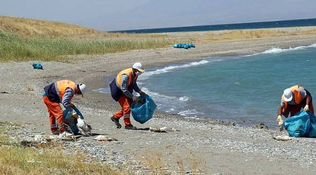 Van Gölü'ndeki kirlilik sorunu dev projeyle çözülüyor